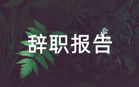 全新辞职报告范文30篇