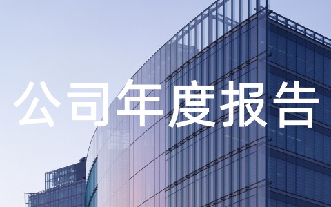 公司年度报告范文精选15篇最新