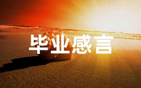 小学六年级毕业感言（精选15篇）