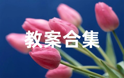 幼儿园中班体育活动教案合集（精选20篇）