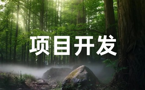 最新项目开发计划书范文大全（精选20篇）