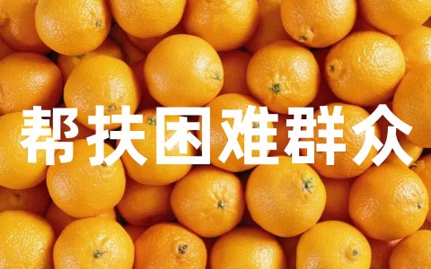 最新帮扶困难群众简报范文大全（精选20篇）