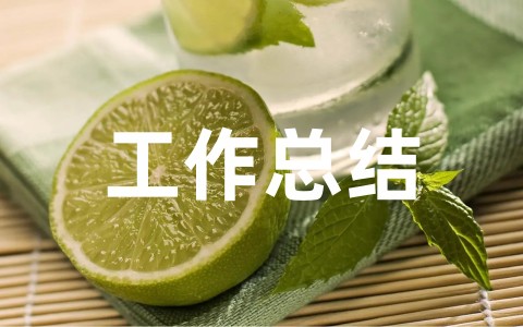 村级会计年终工作总结通用范文（精选20篇）