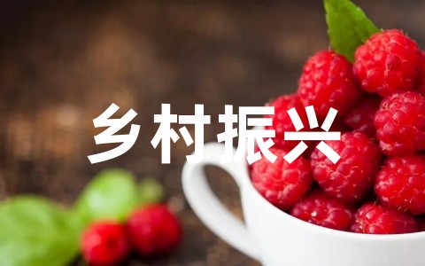 最新乡村振兴探索报告范文大全（通用15篇）