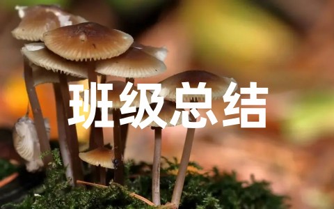 幼儿园优秀班级总结范文大全（精选21篇）