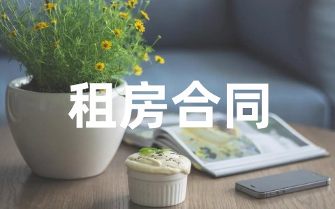 深圳租房合同范本标准版（精选16篇）