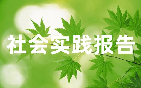 一份完整的社会实践报告  大学社会实践报告格式模板及范文