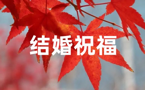 祝朋友儿子结婚祝福短信大全（精选66句）