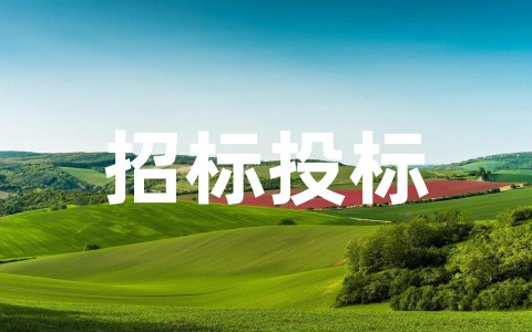 关于招标投标工作实施方案完整版范本