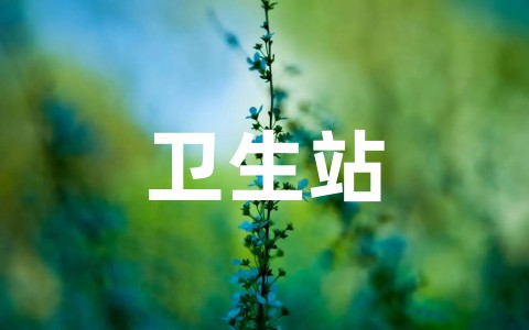 卫生站年度工作计划总结范文（精选18篇）