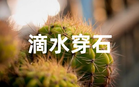 滴水穿石的启示教学设计优秀教案 滴水穿石给我们的启发