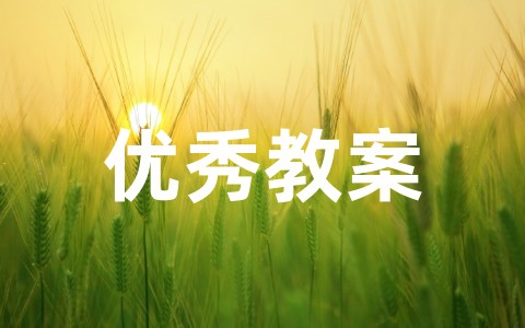 《网上交友新时空》优秀教案 初中道德与法治《网上交友新时空》教学设计