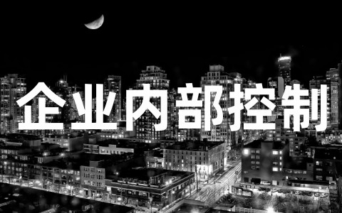 浅谈关于企业内部控制优秀论文 企业内部控制论文案例大全