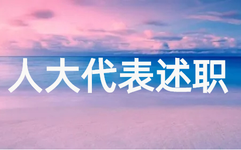 村干部人大代表述职报告完整版