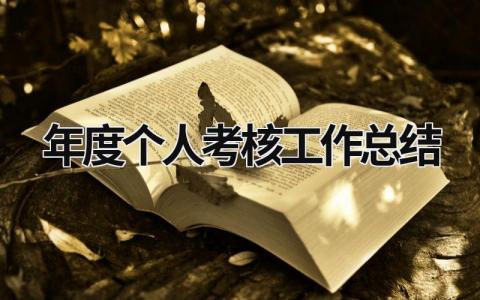 2023年度个人考核工作总结(18篇）