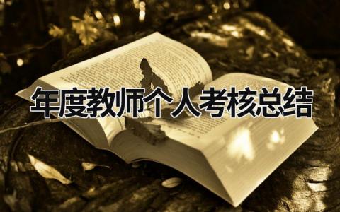 2023年度教师个人考核总结优秀范文(15篇）