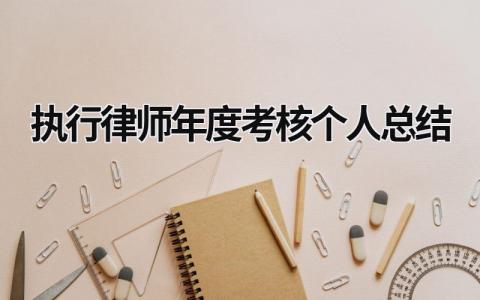 执行律师年度考核个人总结万能模板范文(7篇）