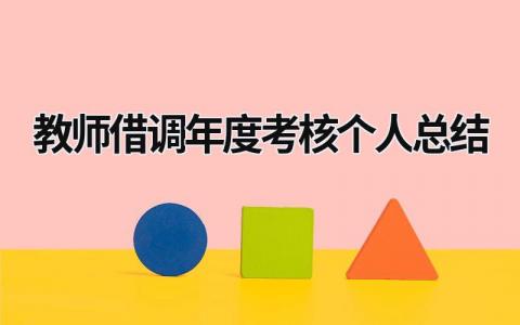 教师借调年度考核个人总结5篇大全