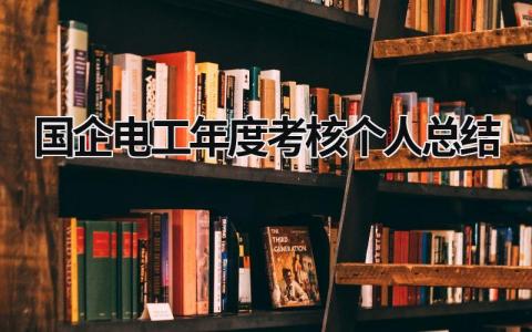 2023电工年度考核个人总结简短范文(6篇）