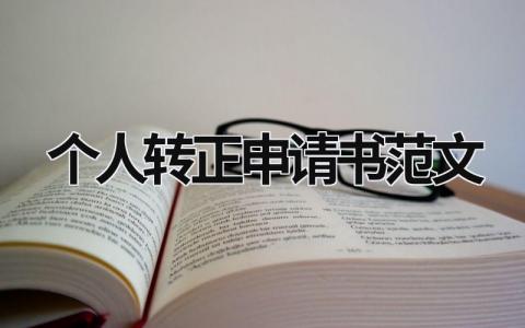 个人转正申请书范文 转正申请书2023最新版(11篇）