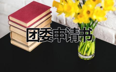 团委申请书优秀范文(精选6篇）