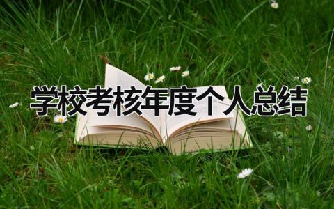 学校考核年度个人总结范文(12篇）