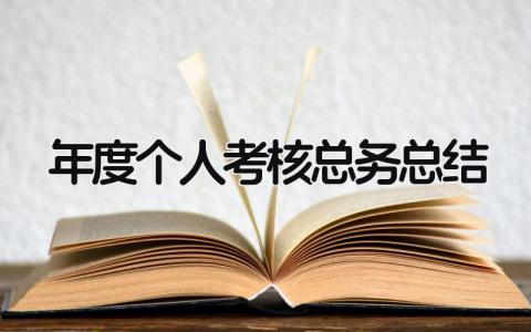 2023年度个人考核总务总结(3篇）