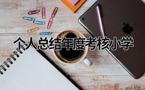 个人总结年度考核小学教师范文(10篇）