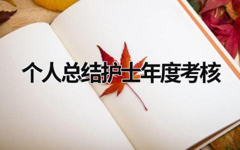 2024最新个人总结护士年度考核范文(17篇）