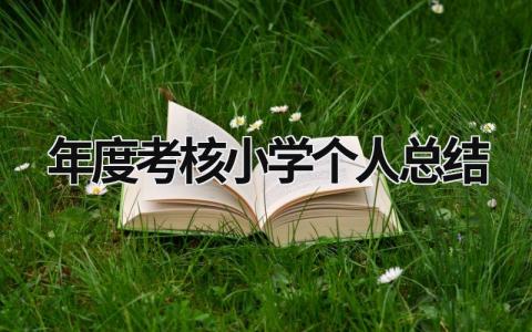 年度考核小学个人总结最新版(18篇）