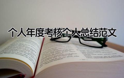 2024个人年度考核个人总结范文(19篇）