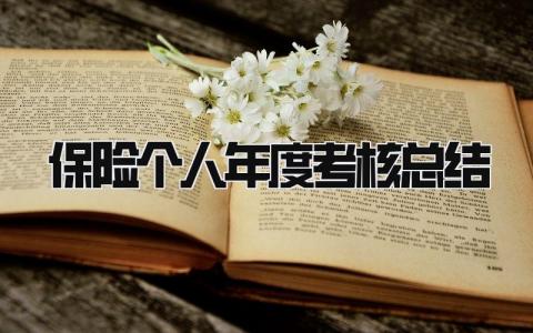 2024保险个人年度考核总结(12篇）