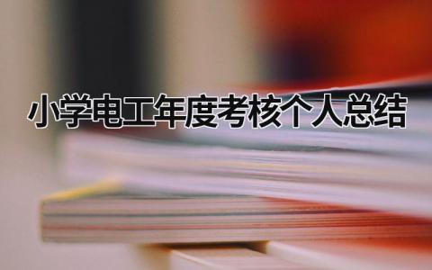 2024小学电工年度考核个人总结(12篇）