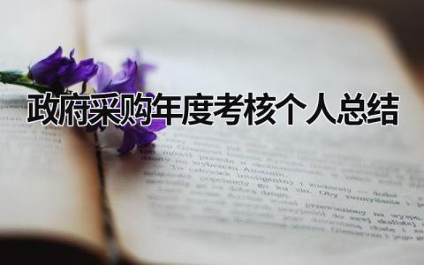 政府采购年度考核个人总结大全(9篇）