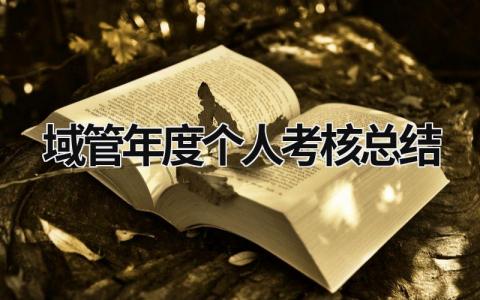 域管年度个人考核总结2024(3篇）