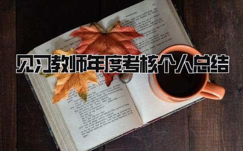 见习教师年度考核个人总结(15篇）