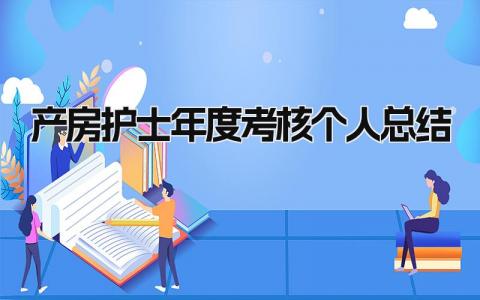 2024产房护士年度考核个人总结(7篇）