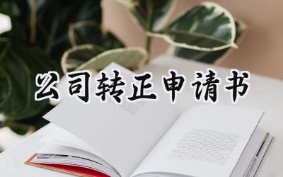 公司转正申请书(17篇）