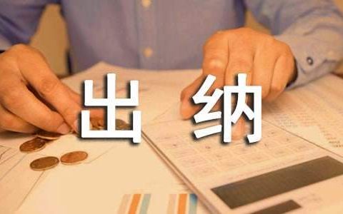 财务出纳年终总结 财务出纳年终总结及下年工作计划