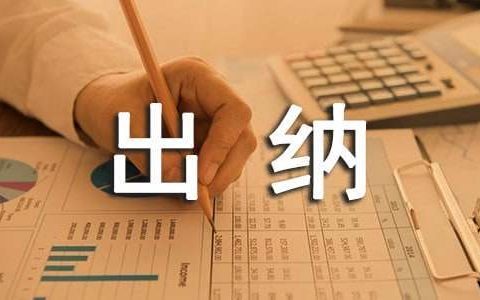 出纳年终总结及工作计划 出纳年终总结个人总结