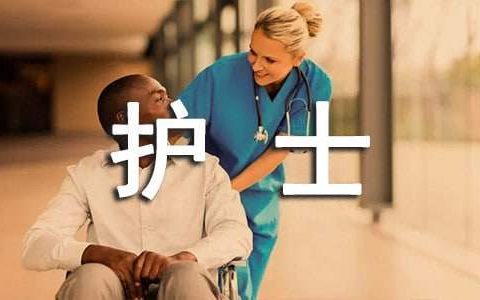 护士个人总结范文