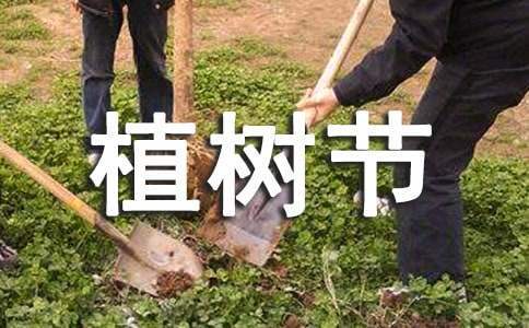 小学植树节活动总结报告 小学植树节活动总结图片