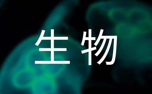 生物教学年终工作总结范文 生物教学年终工作总结报告