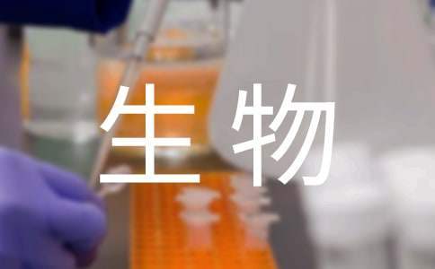 高三生物备课组工作总结和反思 高三生物备课组工作总结和反思简短