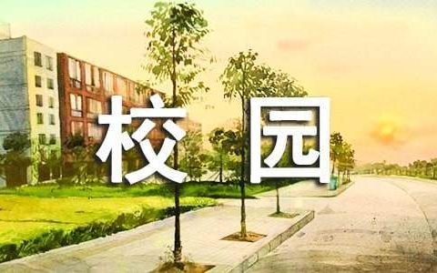 平安校园创建工作总结报告 平安校园创建工作总结范文