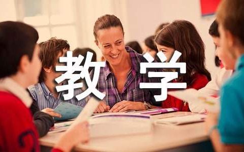 教学督导工作总结和心得 教学督导工作总结范文