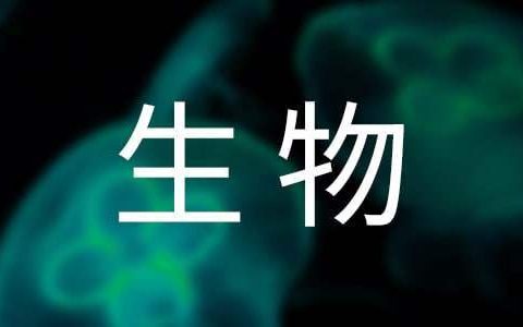 开展国际生物多样性日宣传活动总结 国际生物多样性日活动策划