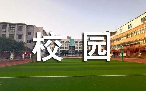 小学校园文化艺术节活动总结 校园文化艺术节活动总结及评语