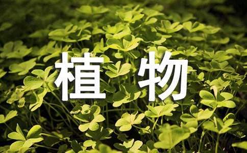 植物检疫工作总结信息简报 植物检疫工作总结报告