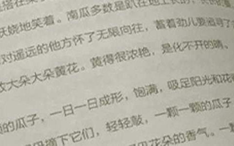 中考语文教学工作总结下学期 中考语文教学工作总结范文